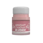 ⁦بلاشر  بودر 4 لون⁩ - الصورة ⁦2⁩